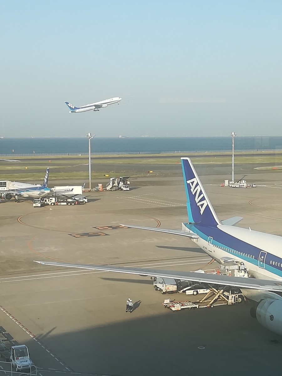 マイルを活用して沖縄に行こう!