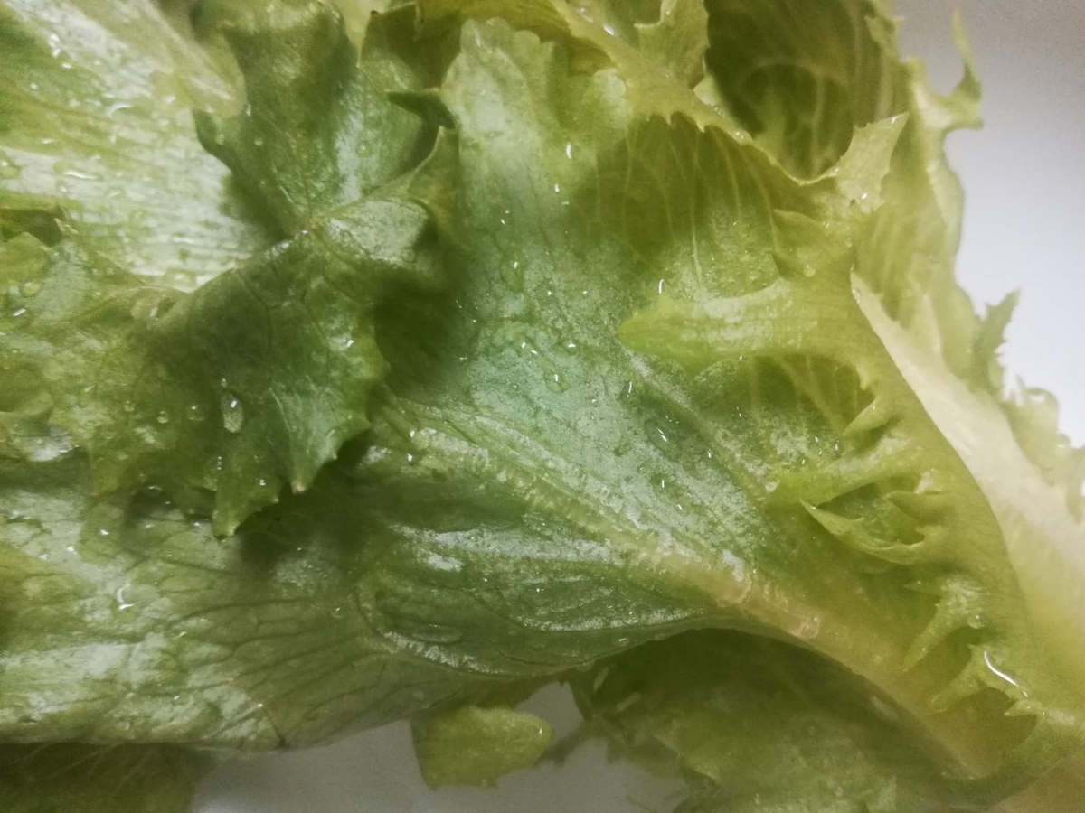 f:id:takathgm:20191204130540j:plain f:id:takathgm:20191204130540j:plain