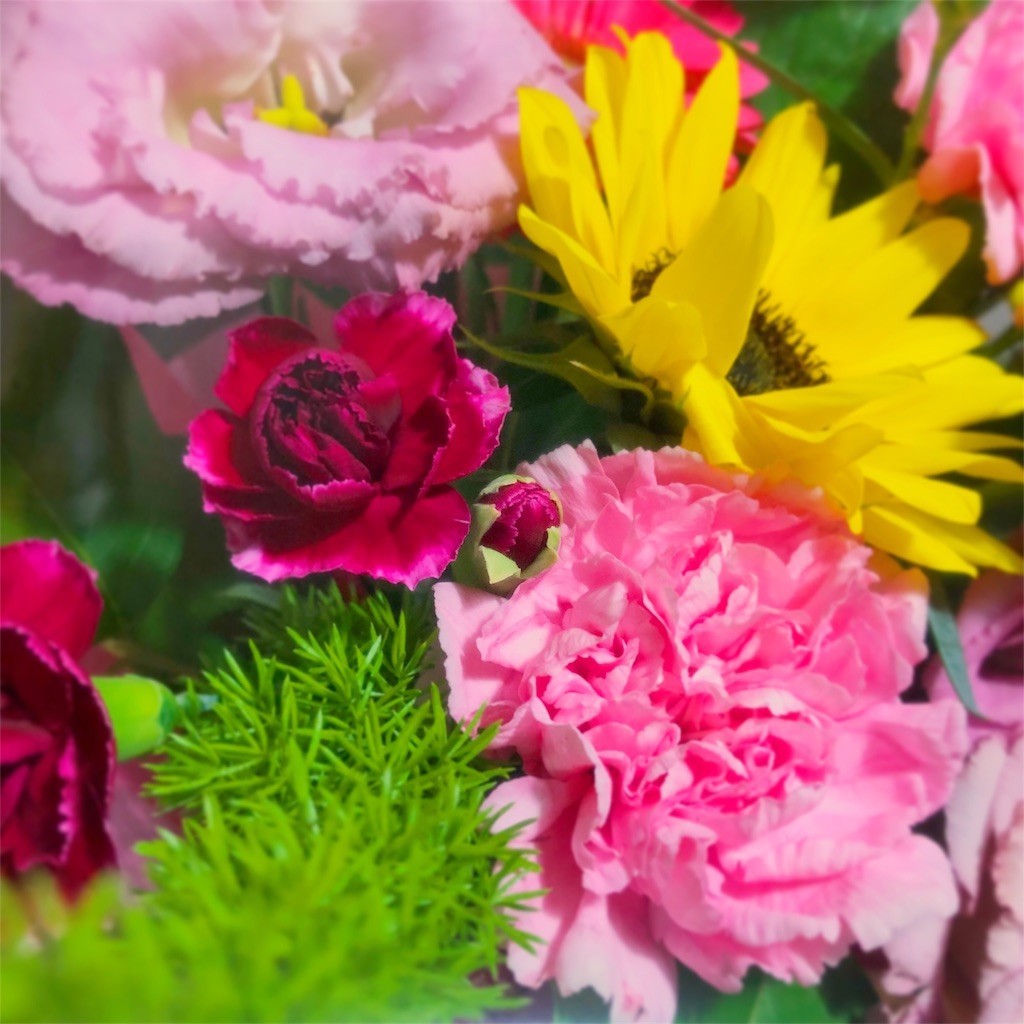 f:id:takatiho:20180814181757j:image f:id:takatiho:20180814181757j:image