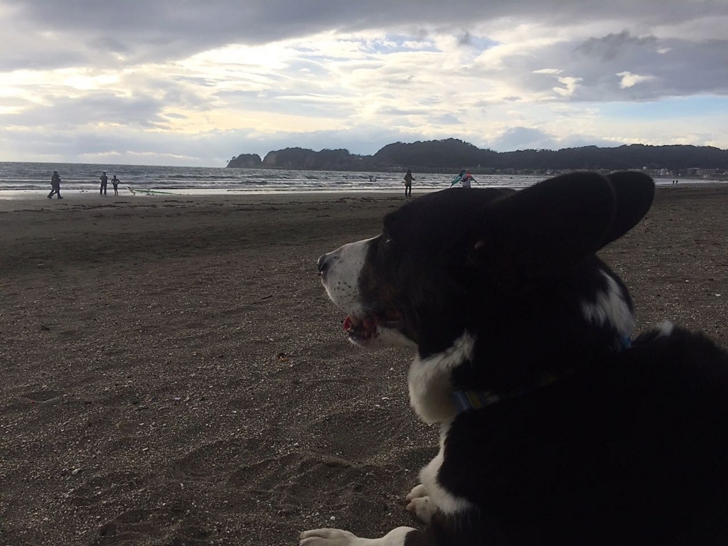 f:id:takatoki_hojo:20160214213630j:plain