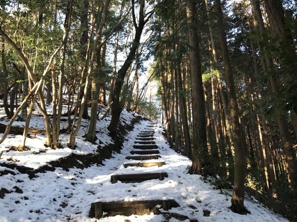 f:id:takatoki_hojo:20180109234752j:plain