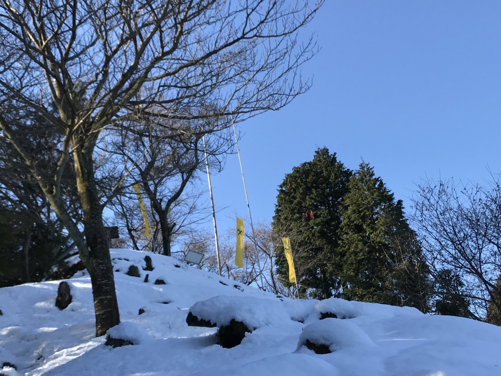 f:id:takatoki_hojo:20180109234825j:plain