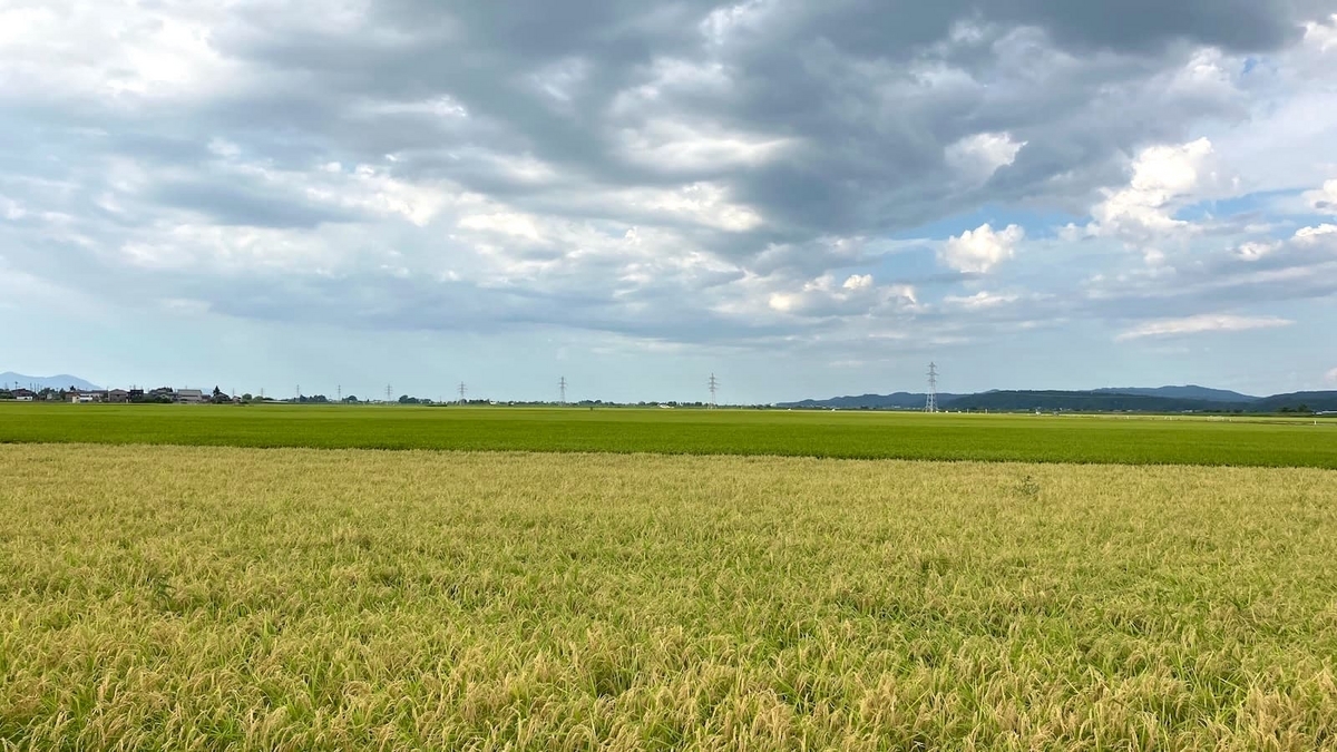 八丁沖古戦場パーク