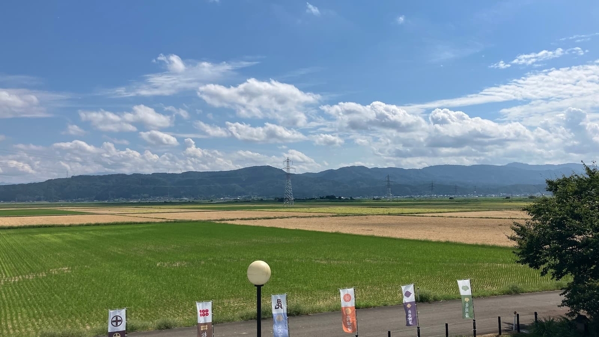 大黒方面から臨む八丁沖（北越戦争伝承館より）