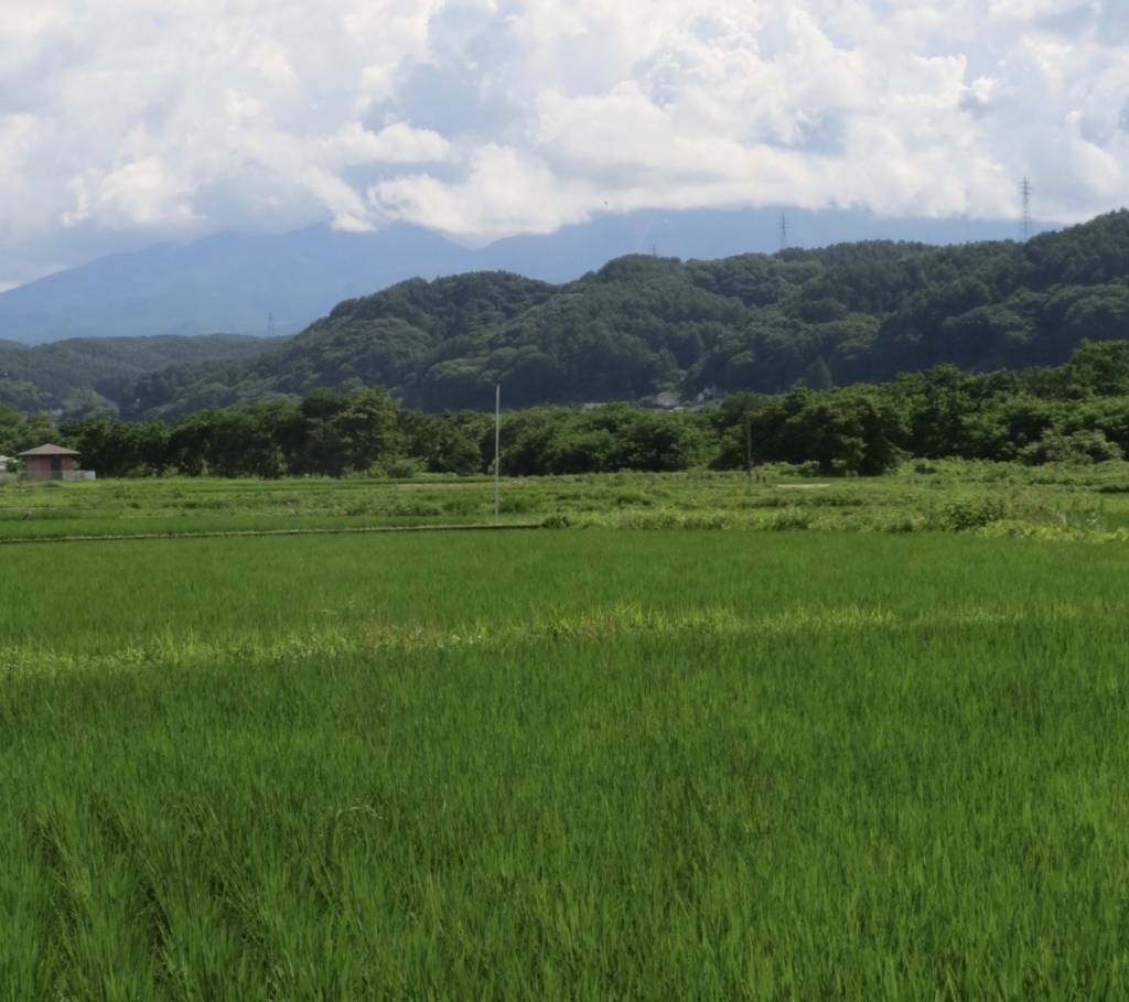 f:id:takatonbox:20180726010930j:plain