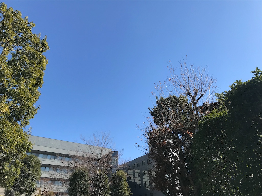 f:id:takatoshi0905:20190113002144j:image f:id:takatoshi0905:20190113002144j:image