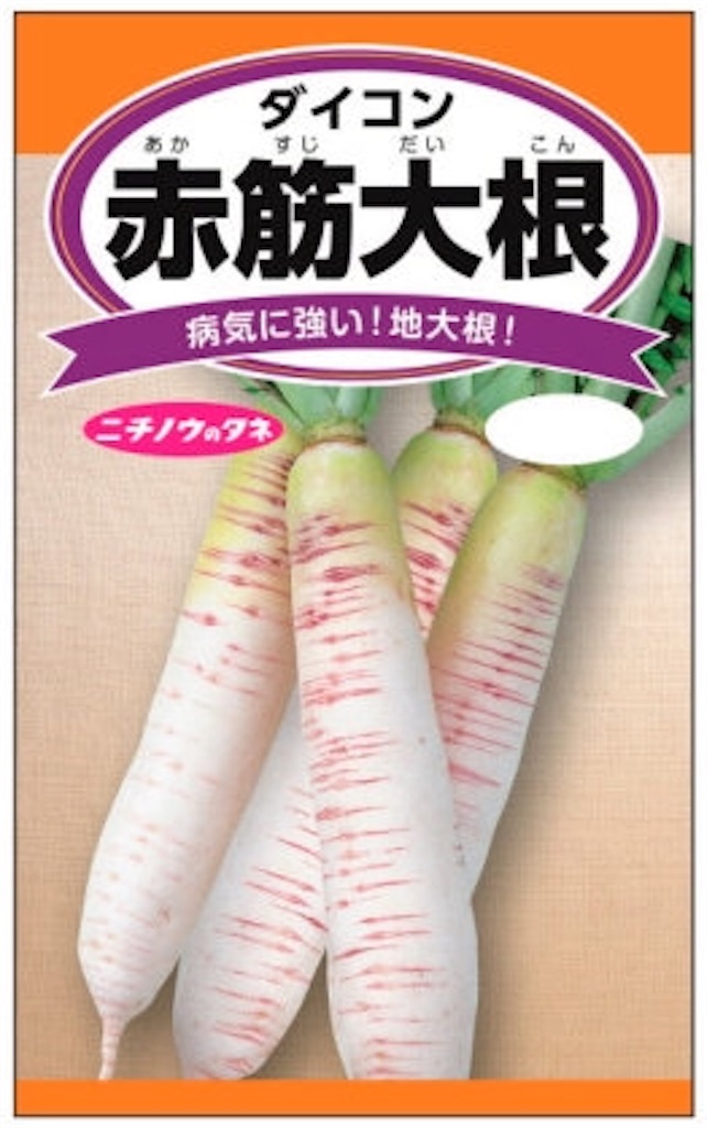 f:id:takatoshi0905:20190203173049j:image