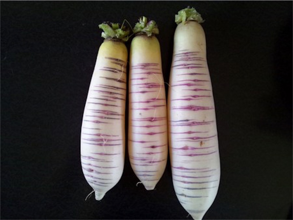 f:id:takatoshi0905:20190203173109j:image