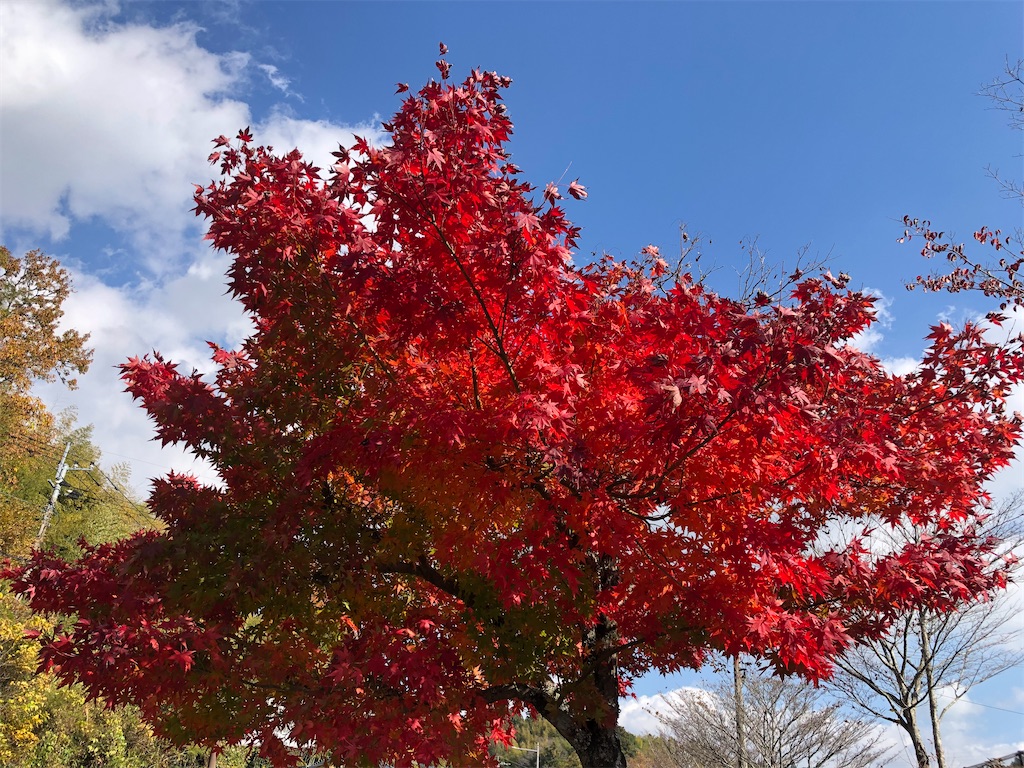 f:id:takaya02:20220115110100j:image f:id:takaya02:20220115110100j:image