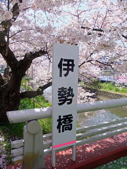 イメージ 15