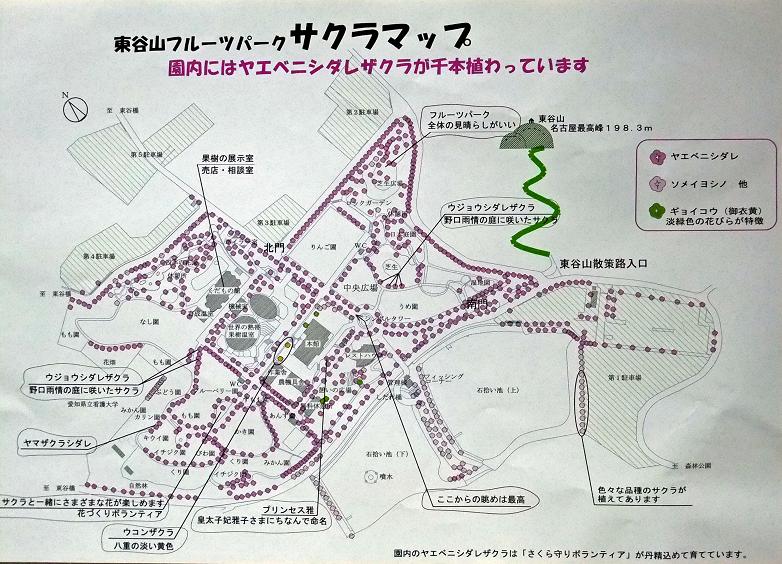 イメージ 15