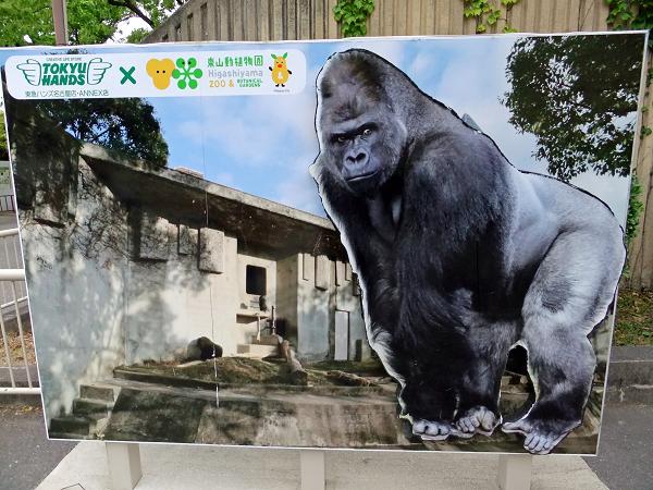 イメージ 8