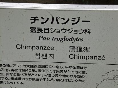 イメージ 9