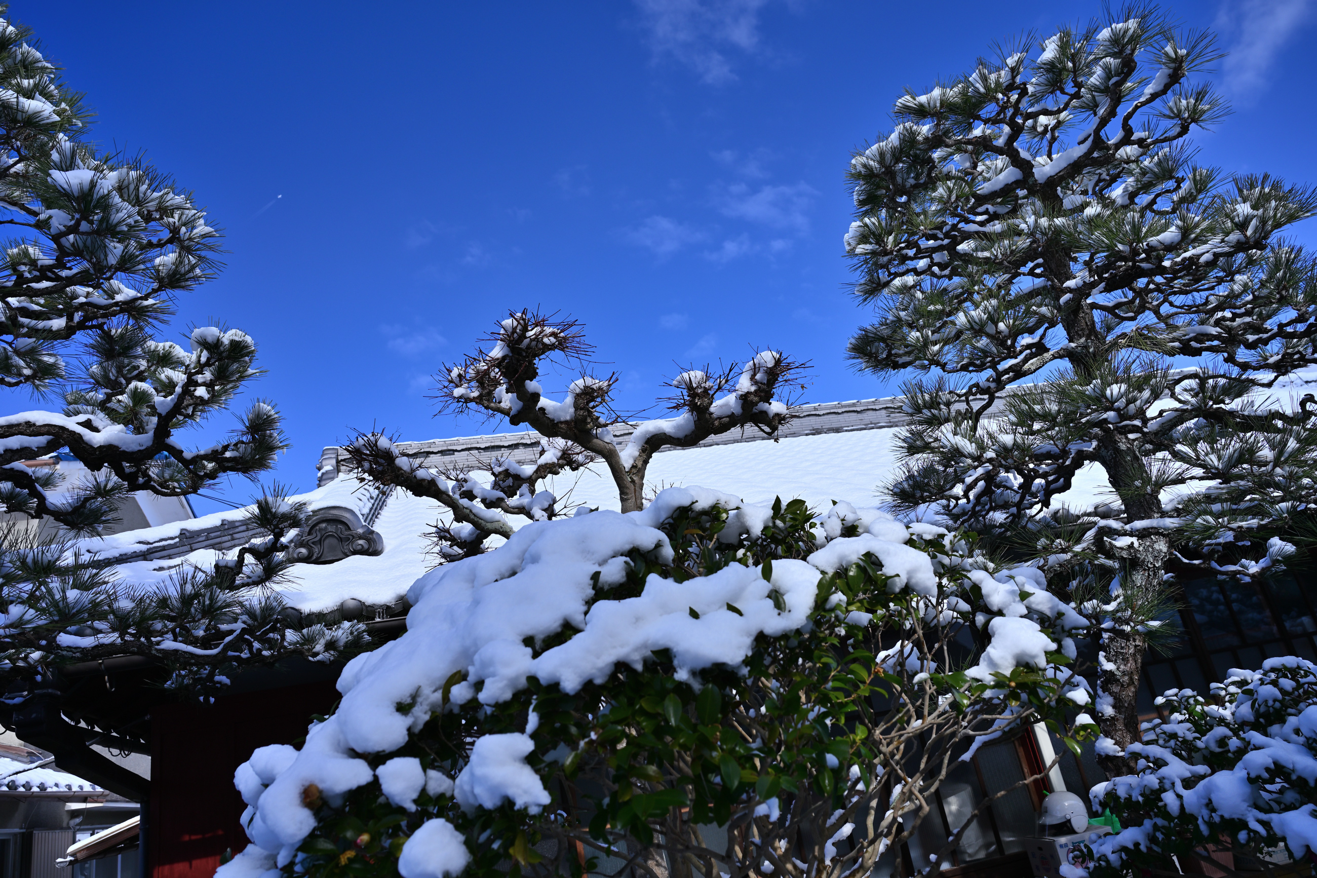 自宅の庭の雪景色（2月8日〜9日） - 気ままに撮り歩き