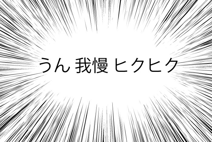 f:id:takayukimiki:20161104131740j:plain