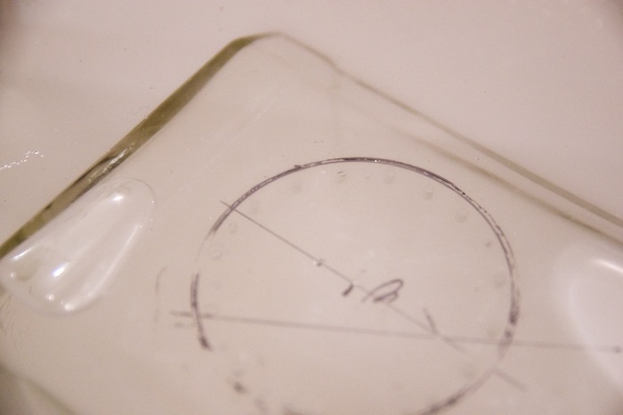 f:id:takayukimiki:20180107110850j:plain f:id:takayukimiki:20180107110850j:plain