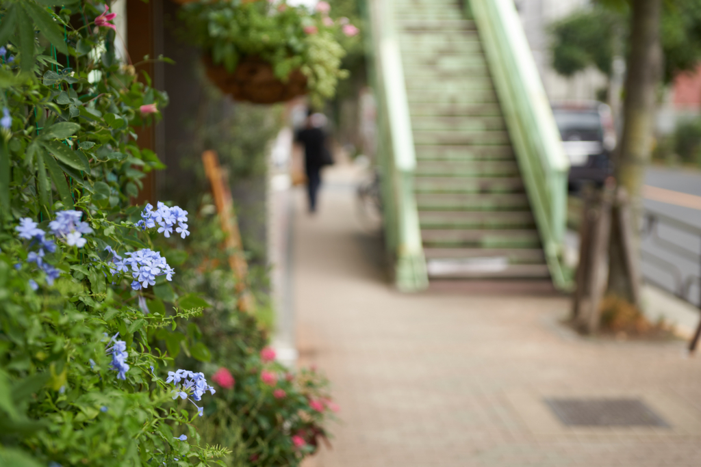 f:id:takayuta818:20180814074739j:plain