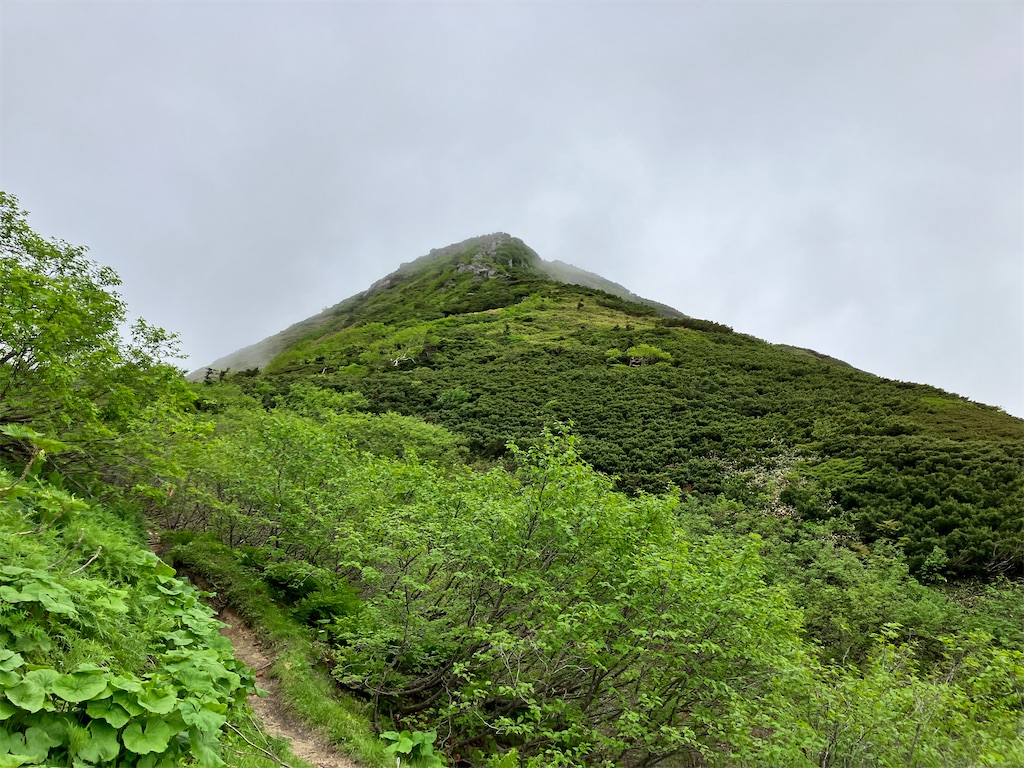 f:id:takayuuuuu:20230710083356j:image