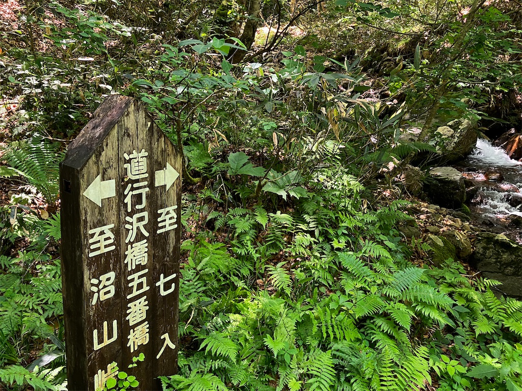 f:id:takayuuuuu:20230710083431j:image
