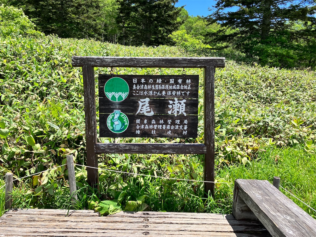 f:id:takayuuuuu:20230710083444j:image
