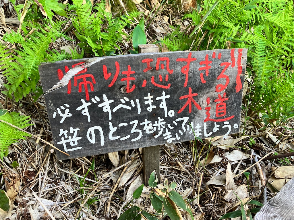 f:id:takayuuuuu:20230710202240j:image