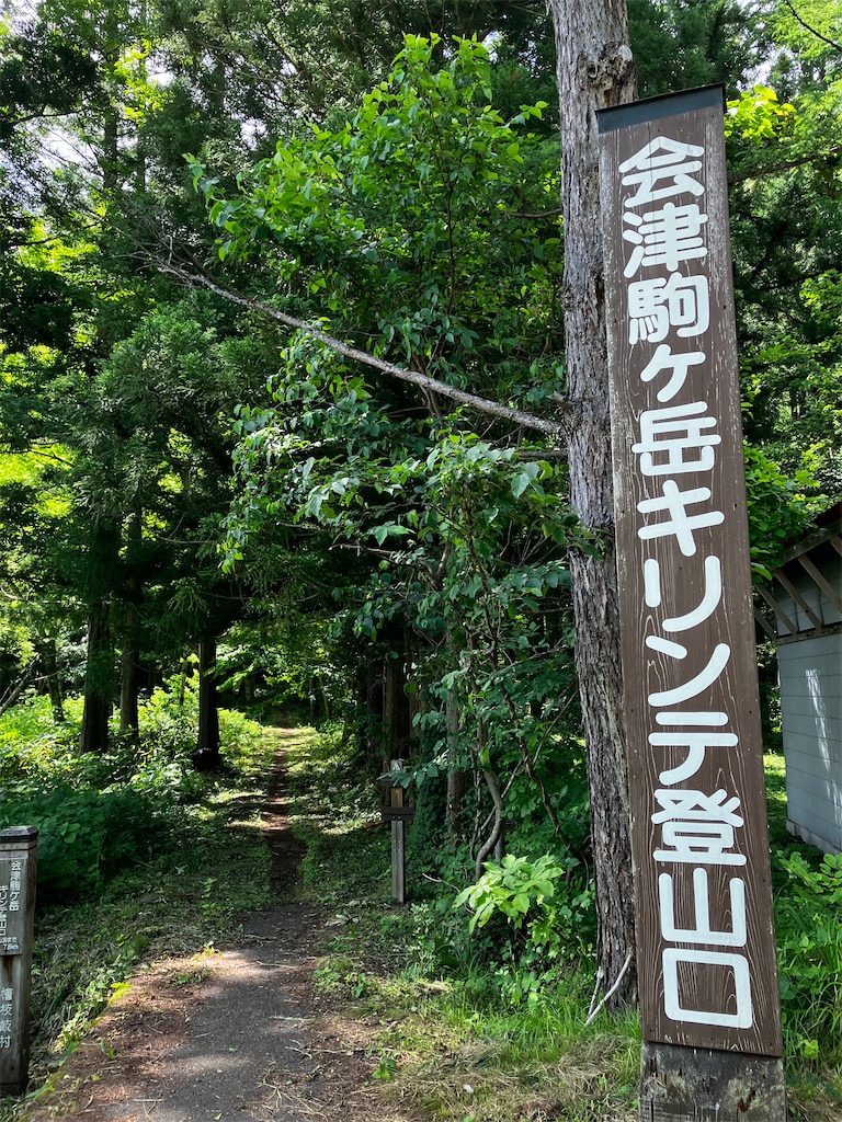 f:id:takayuuuuu:20230710202247j:image