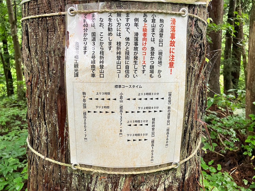 f:id:takayuuuuu:20230722080914j:image