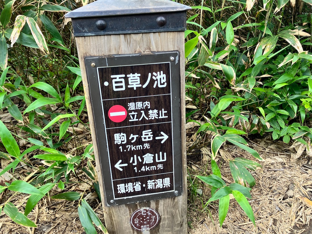 f:id:takayuuuuu:20230722080937j:image