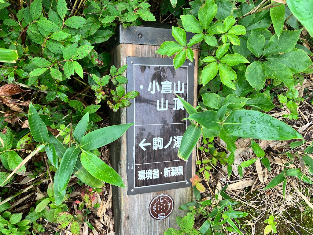 f:id:takayuuuuu:20230722080955j:image