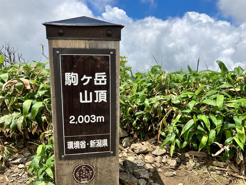 f:id:takayuuuuu:20230722081007j:image