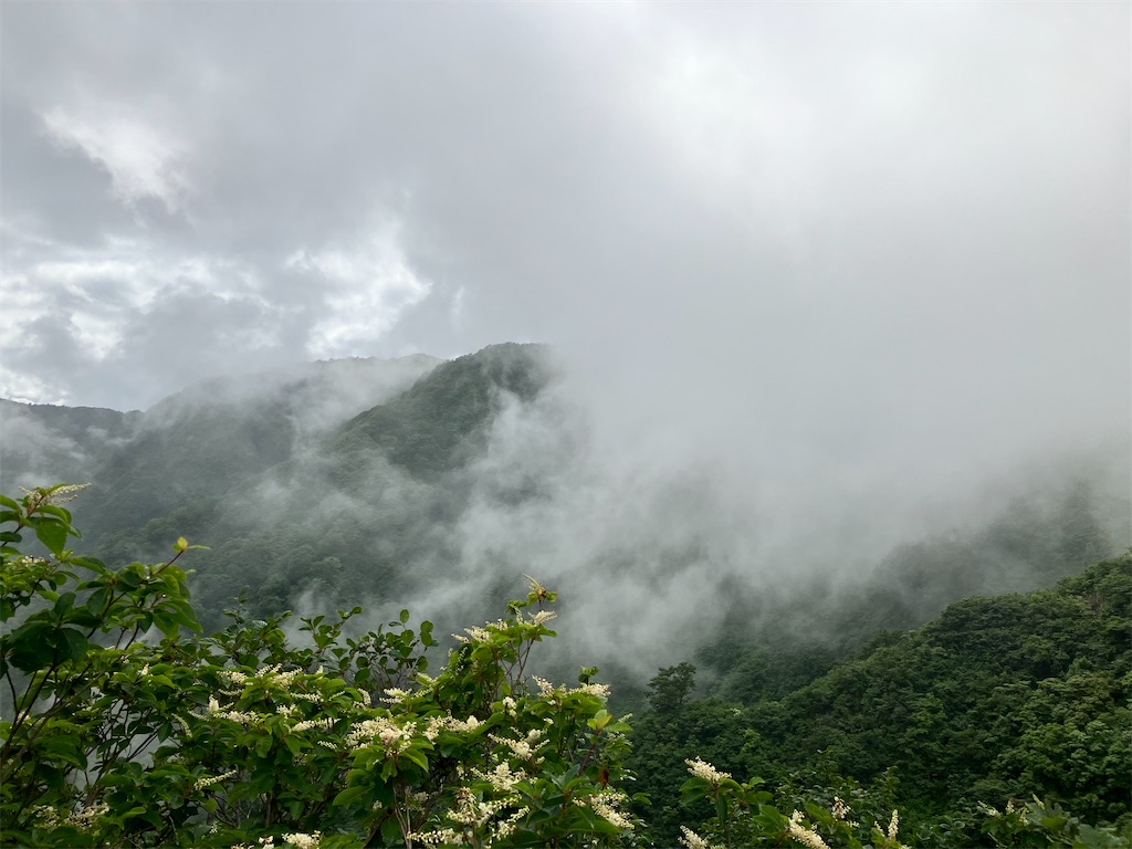 f:id:takayuuuuu:20230722081017j:image