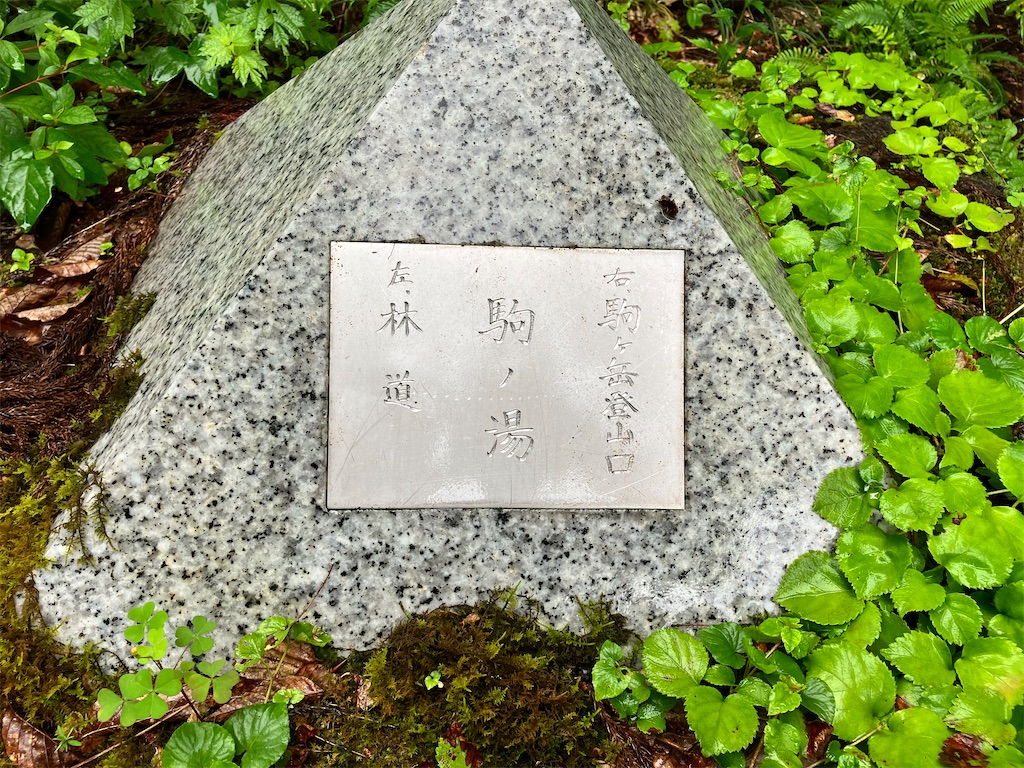 f:id:takayuuuuu:20230722081052j:image