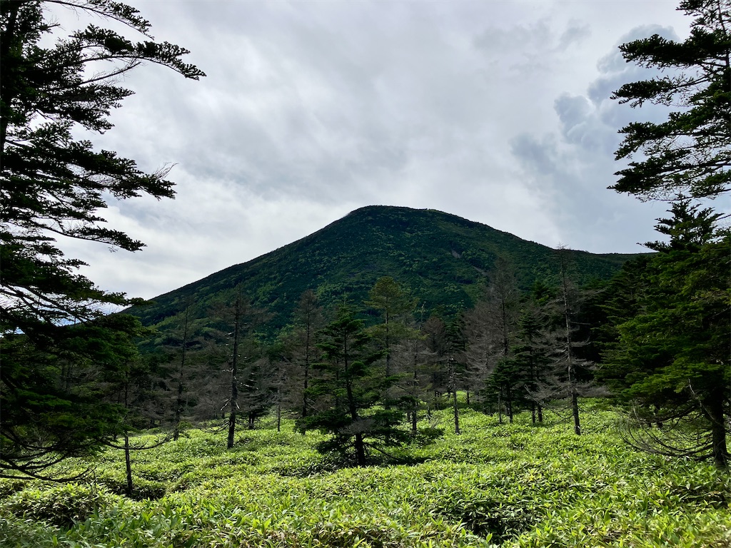 f:id:takayuuuuu:20230816110502j:image