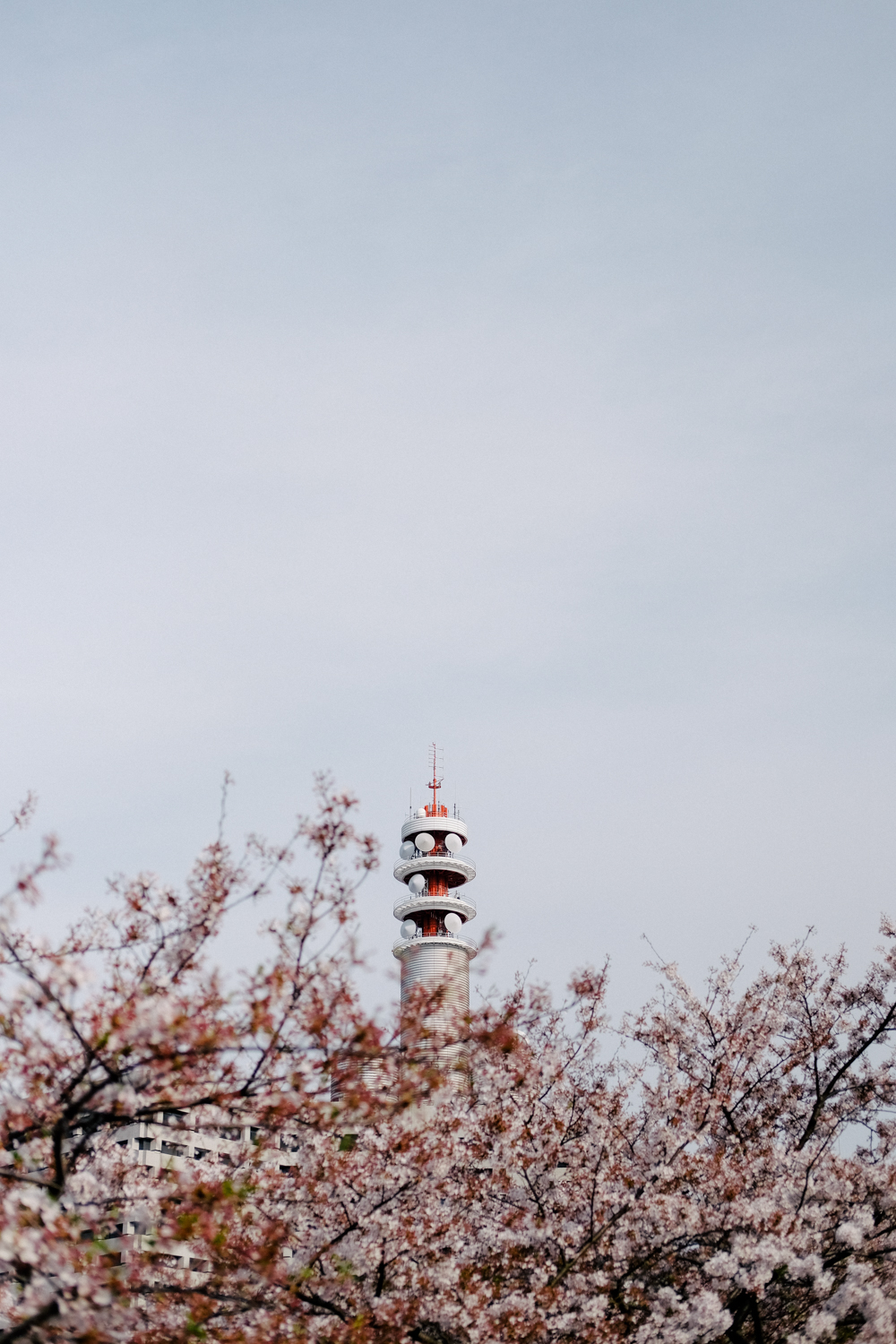 f:id:takchaso:20180401154813j:plain f:id:takchaso:20180401154813j:plain