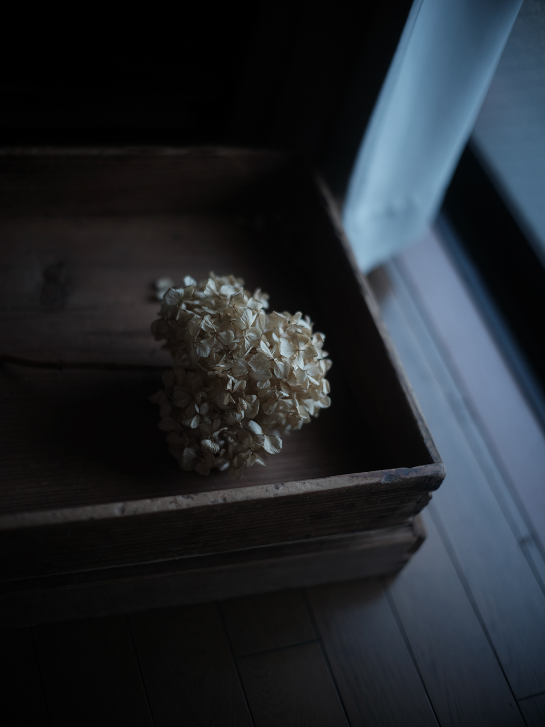 f:id:takchaso:20190625123532j:plain