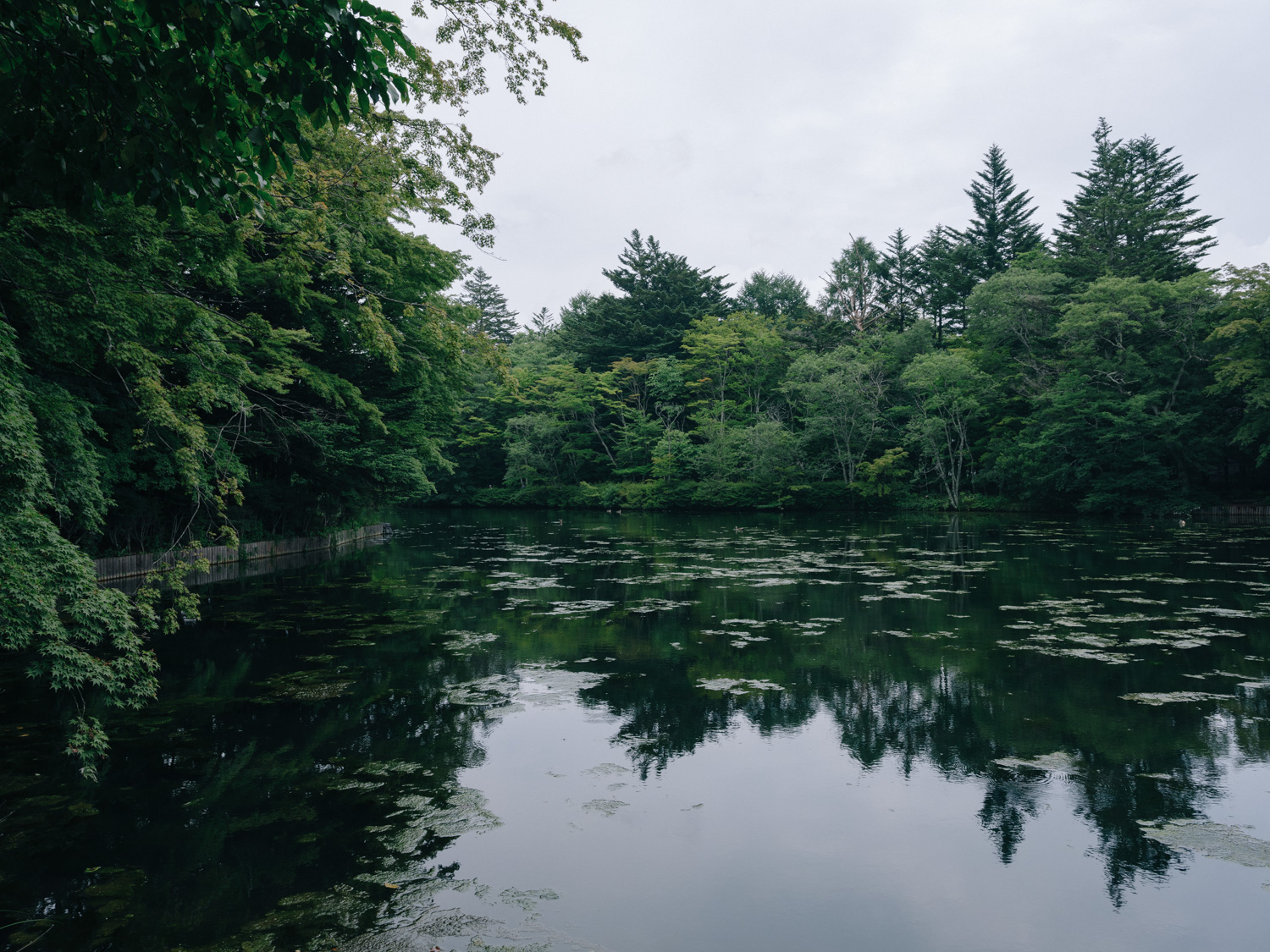 f:id:takchaso:20190725115242j:plain
