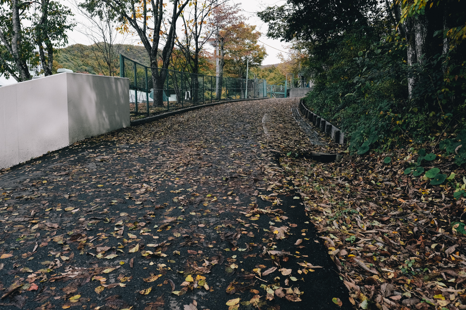 f:id:takchaso:20191026123002j:plain f:id:takchaso:20191026123002j:plain
