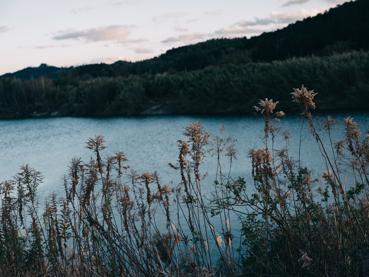f:id:takchaso:20191231161904j:plain