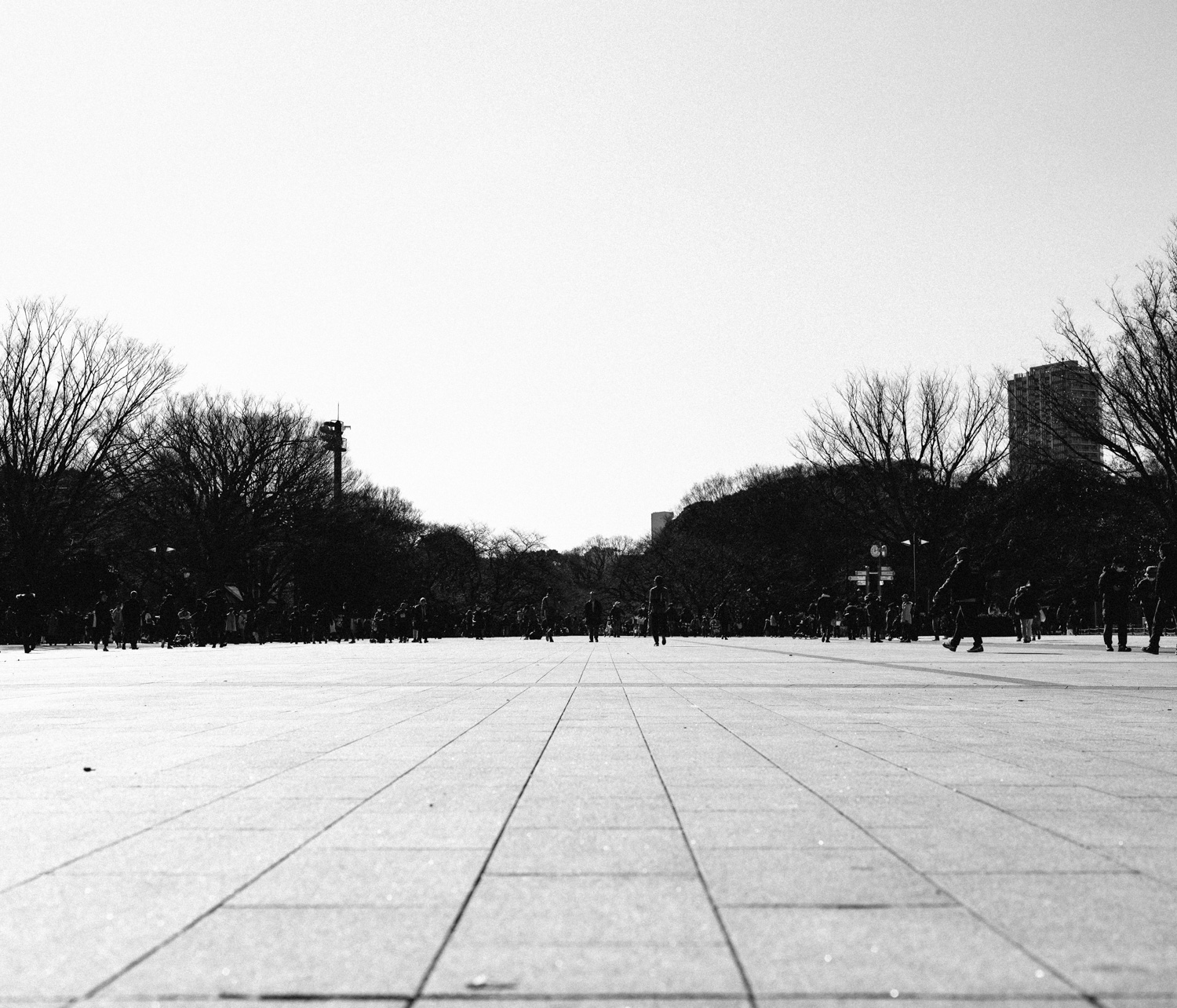 f:id:takchaso:20200119121424j:plain f:id:takchaso:20200119121424j:plain