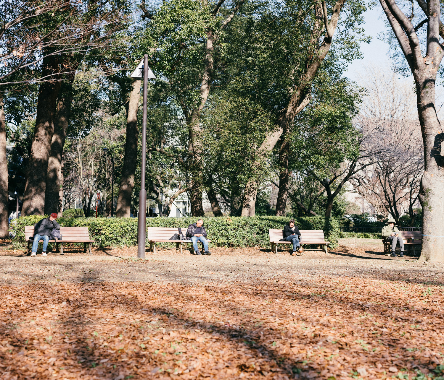 f:id:takchaso:20200119121803j:plain f:id:takchaso:20200119121803j:plain