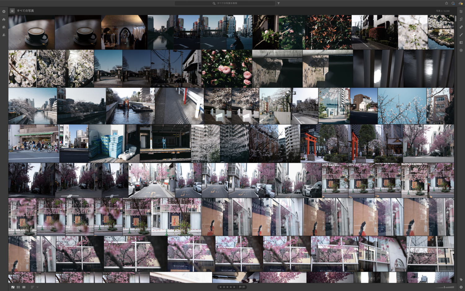 f:id:takchaso:20200412224311p:plain f:id:takchaso:20200412224311p:plain