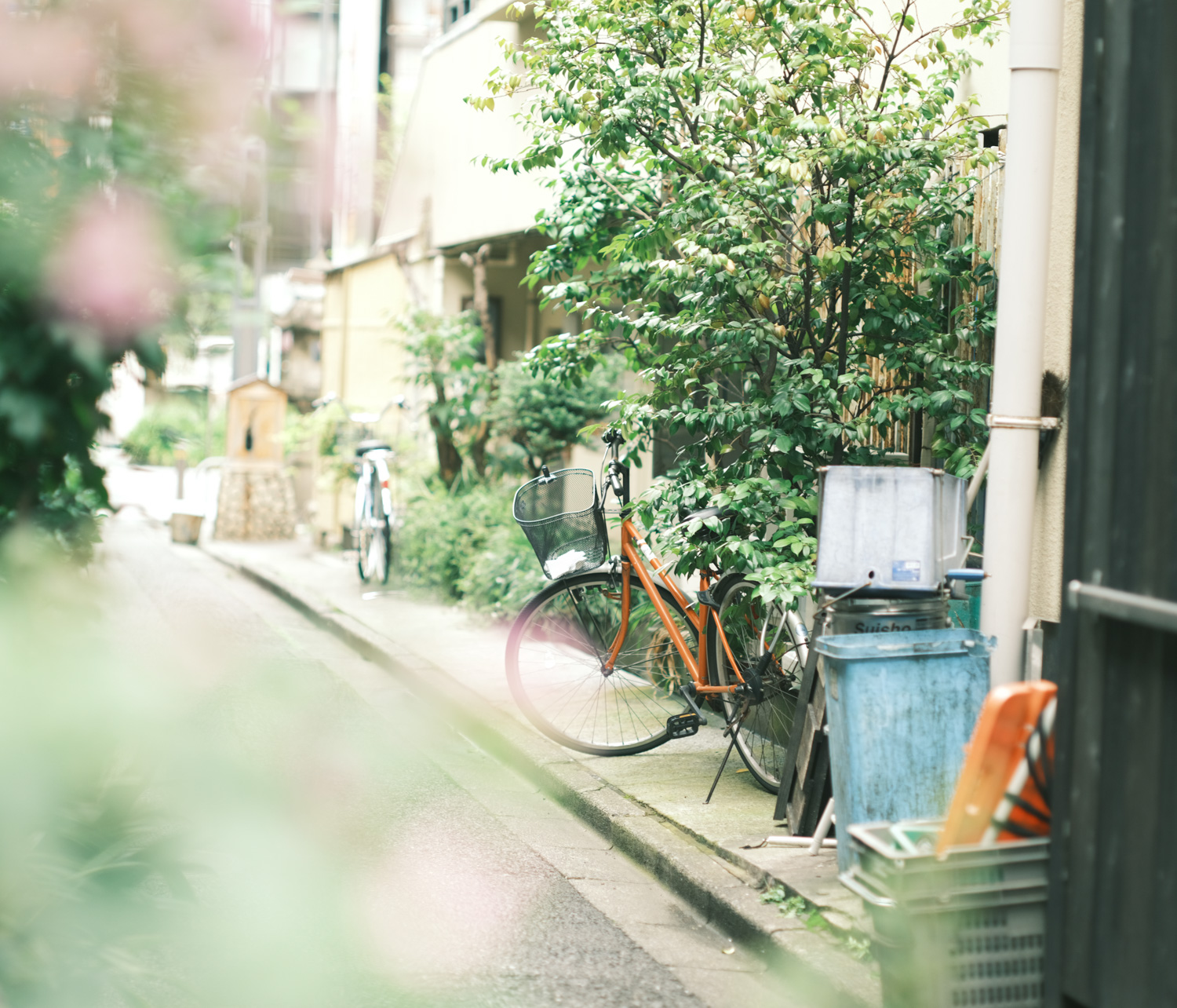 f:id:takchaso:20200704152255j:plain f:id:takchaso:20200704152255j:plain