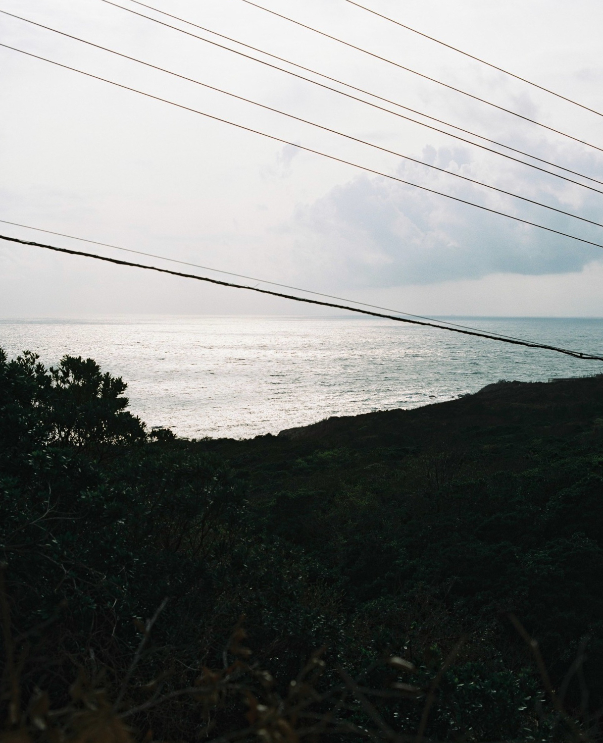 f:id:takchaso:20200712083923j:plain