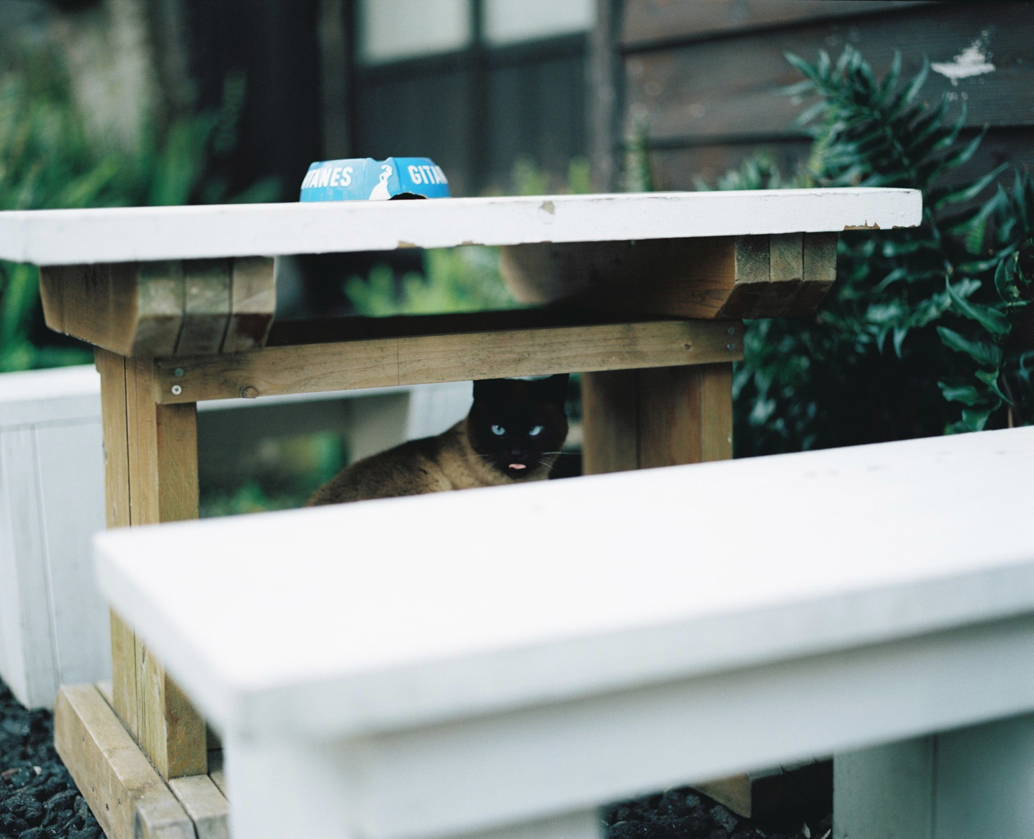 f:id:takchaso:20200712083925j:plain
