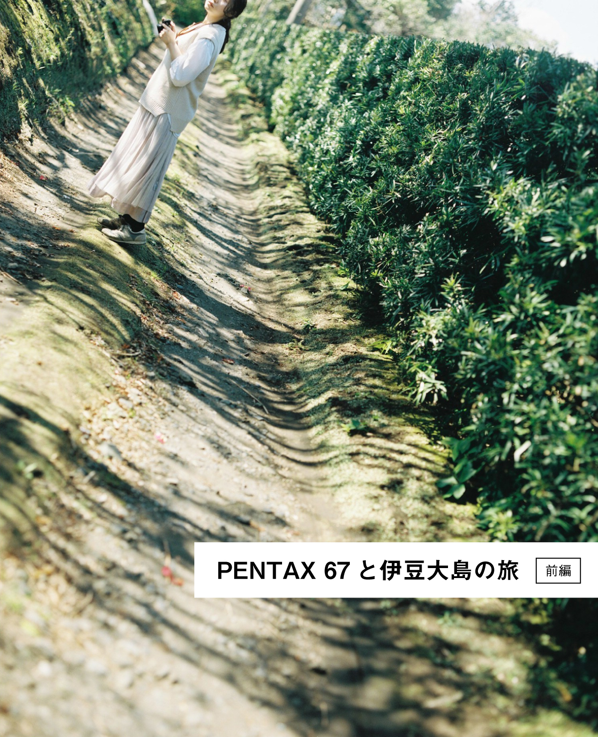 f:id:takchaso:20200712220119j:plain