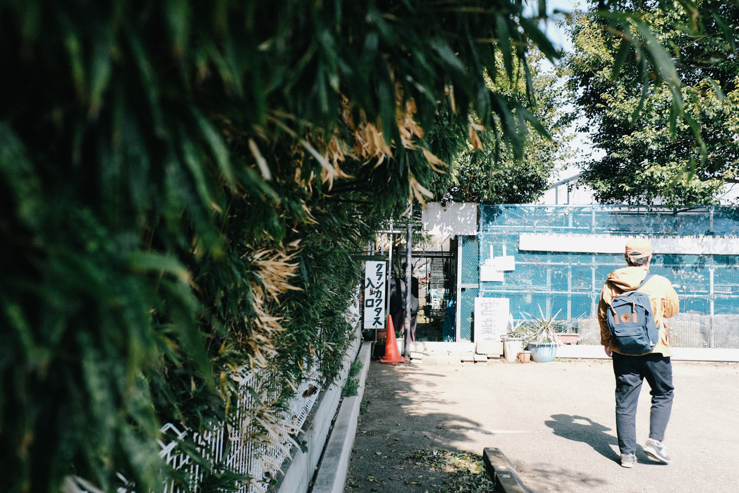 f:id:takchaso:20210221114419j:plain