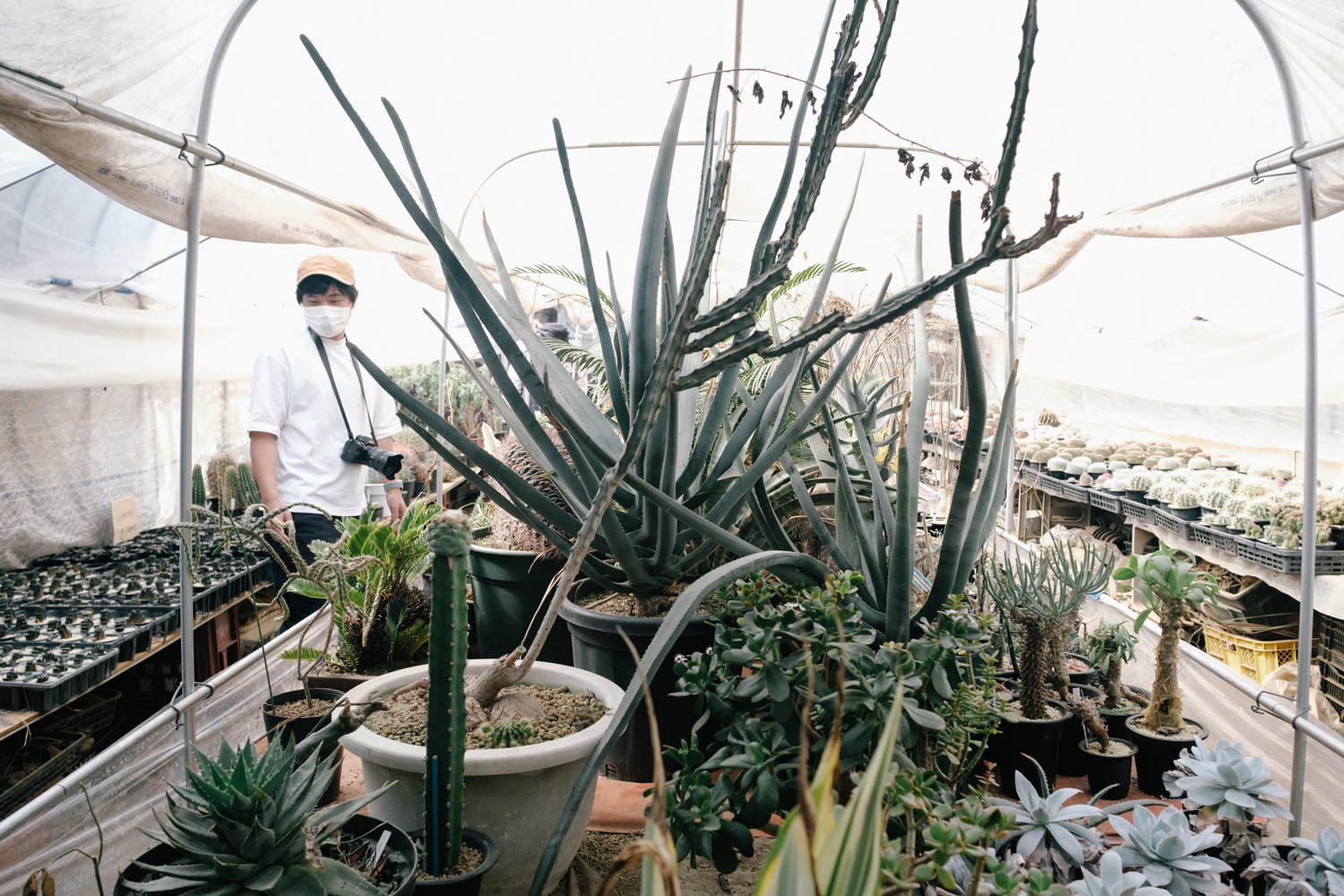 f:id:takchaso:20210221115421j:plain