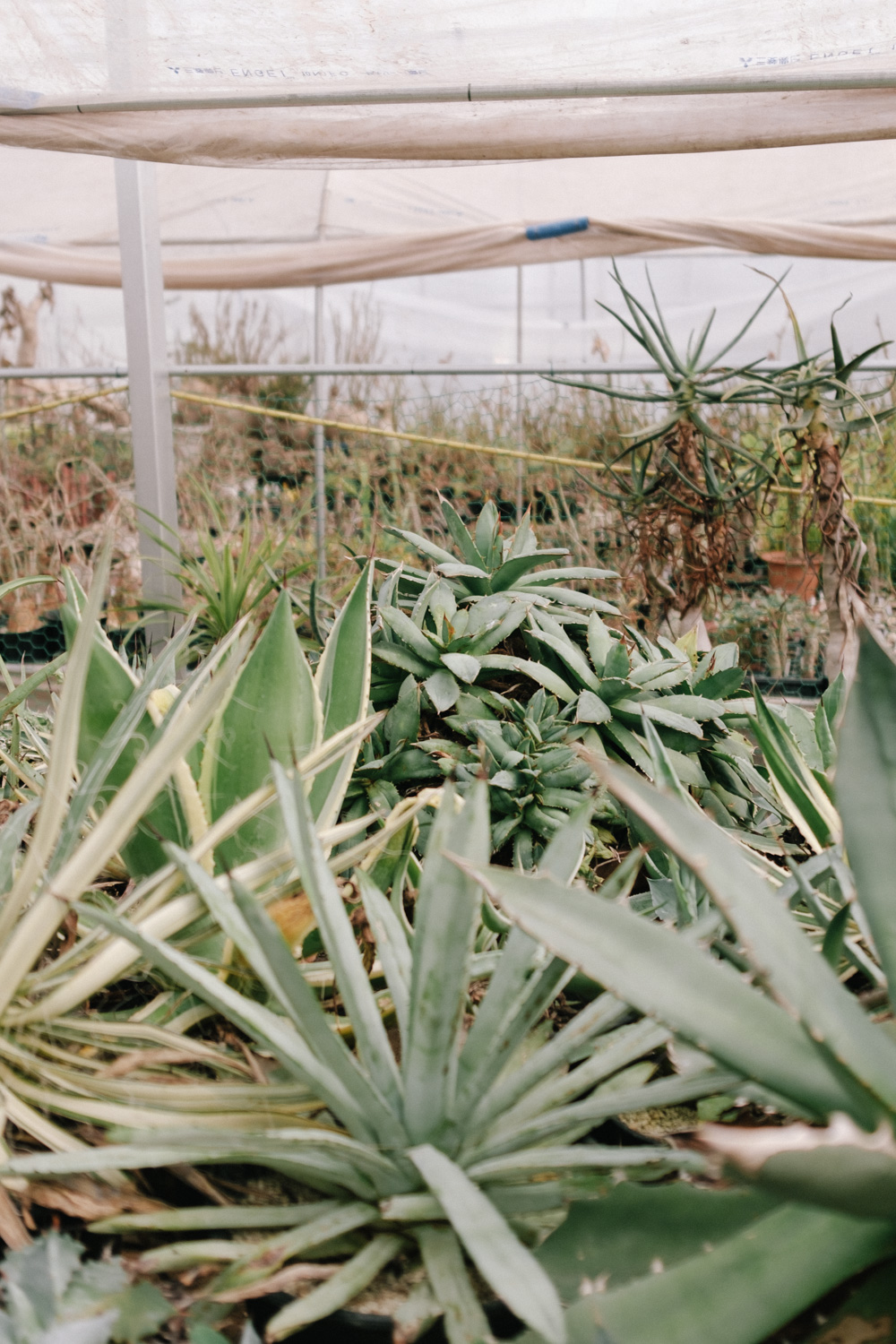 f:id:takchaso:20210221121846j:plain