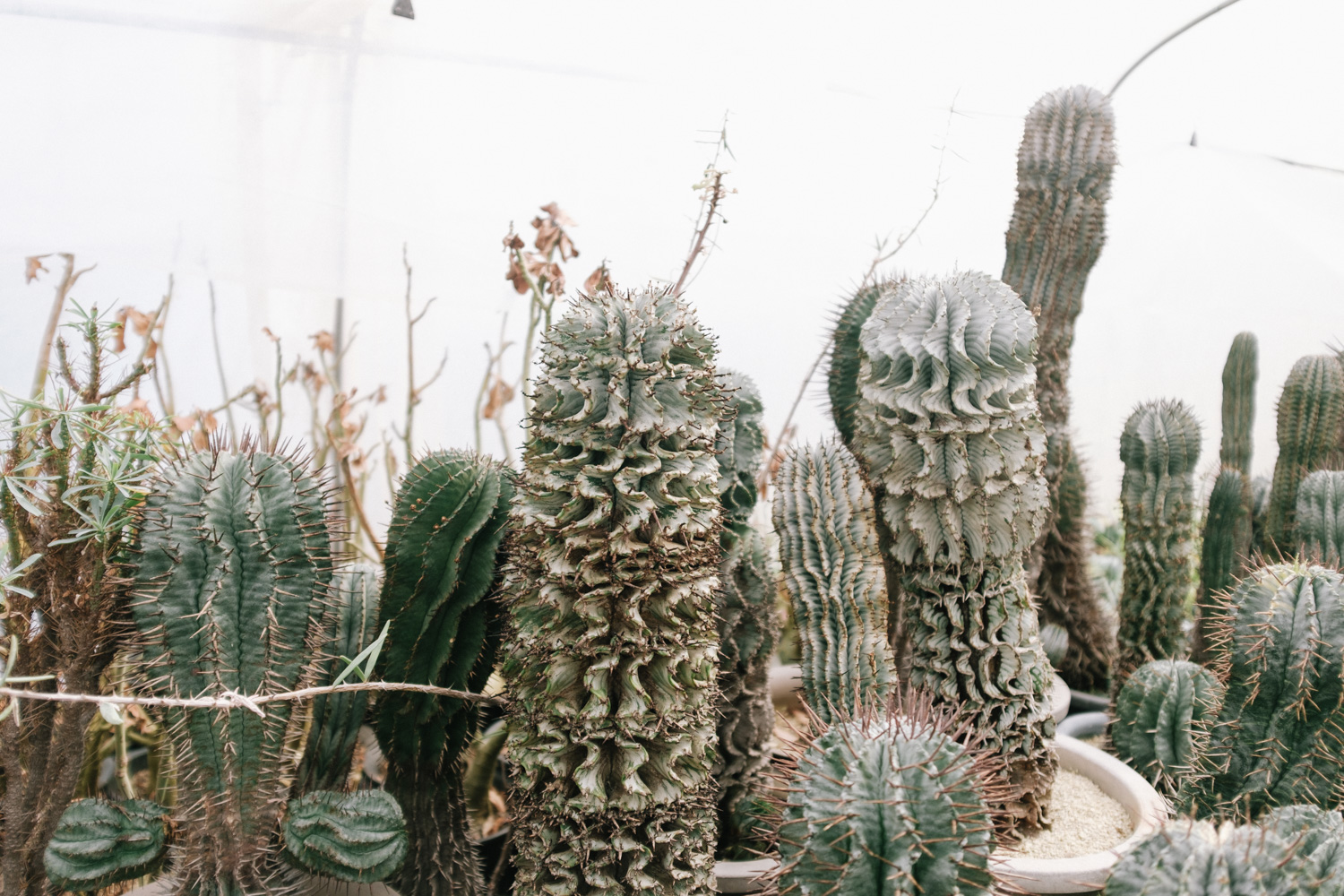 f:id:takchaso:20210221122218j:plain