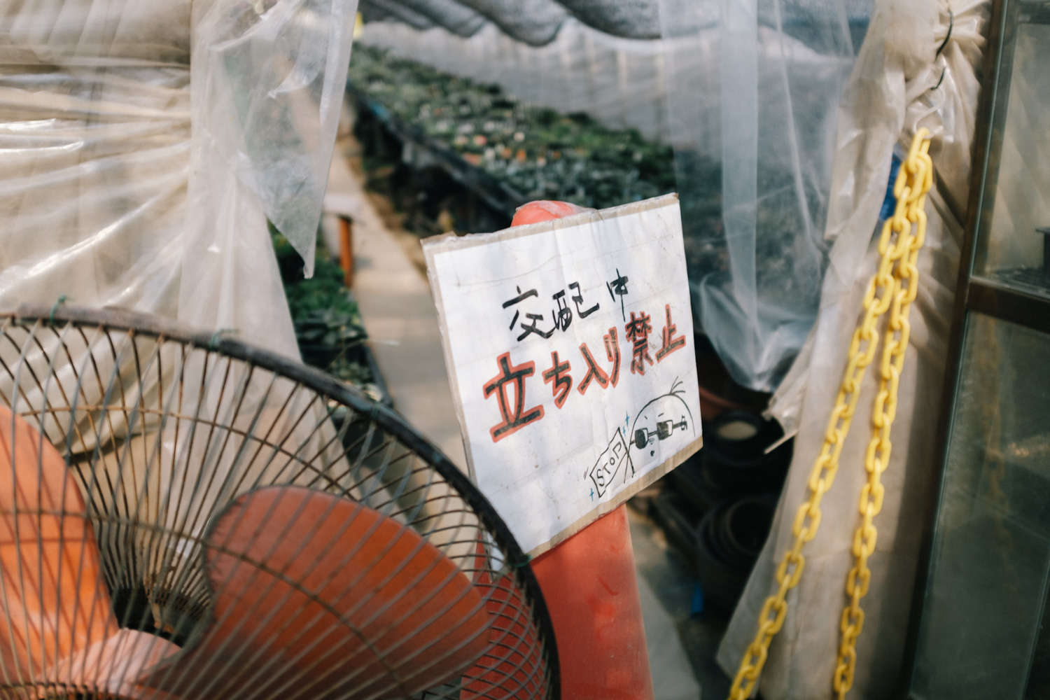 f:id:takchaso:20210221123935j:plain